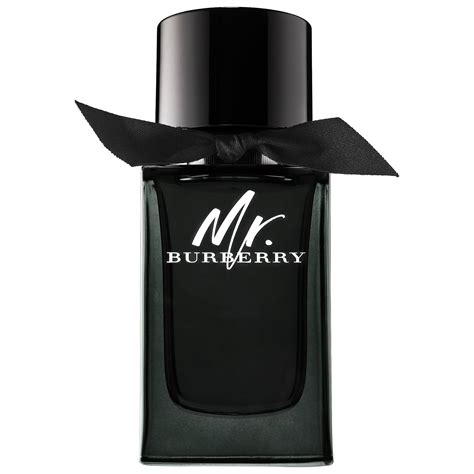 burberry for men by mr. burberry|touch for men burberry.